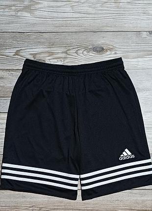 Шорти adidas climalite