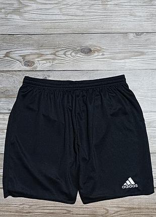 Шорти adidas climalite