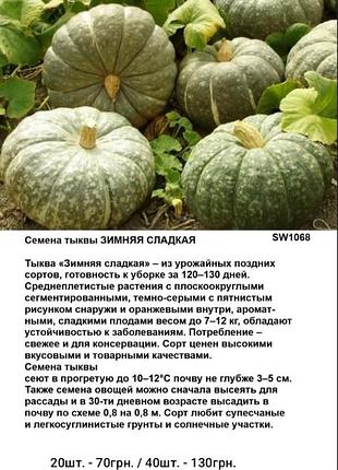 Насіння гарбуза зимове солодке