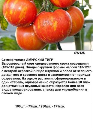 Насіння томата амурський тигр