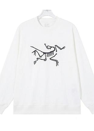 Мужской свитшот arc'teryx