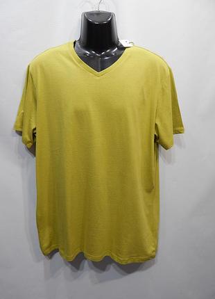 Чоловіча футболка regular р. 54-56 (2xl) 088фм (тільки в зазначеному розмірі, тільки 1 шт.)