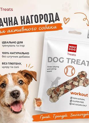 Ласощі для собак 🐕 курячі суші