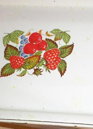 Лоток для продуктов