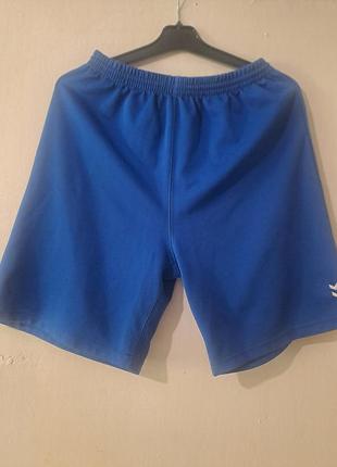 Спортивные шорты hummel