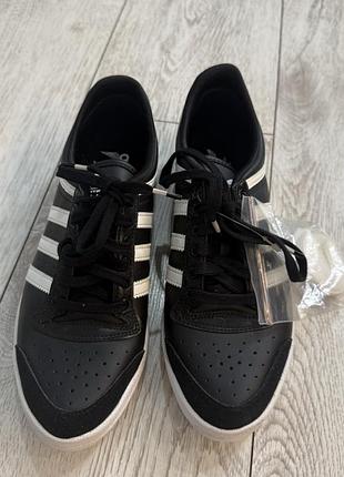 Кросівки adidas originals top ten low sleek