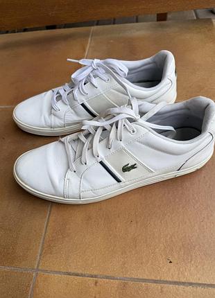Кросівки чоловічі, lacoste