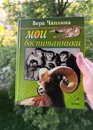 Мои питомцы. чаплина