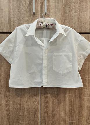 Коротка рубашка кроп