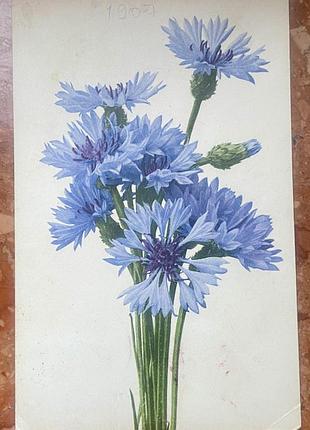 Стара листівка. вітальна 1907 р.