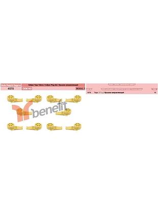 Кришка супорту комплект 10шт haldex type, modul t, h4570, 3434386200 0810 60137 1076ben