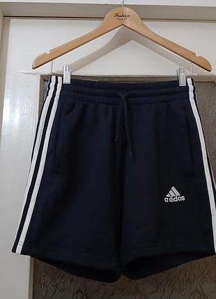Шорти adidas котонові