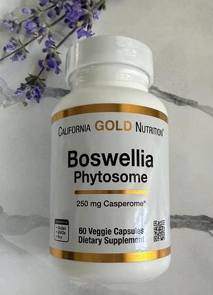 California gold nutrition, boswellia phytosome, фітосома босвелії із соняшниковим лецитином, 250 мг, 60 рослинних капсул