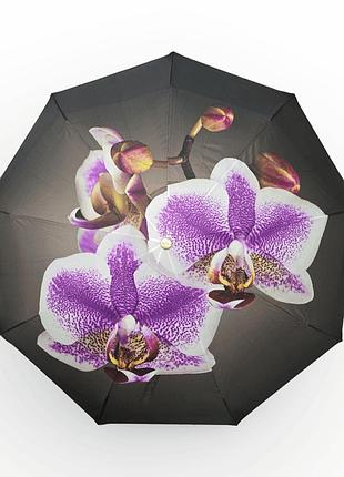 Жіноча парасоля-автомат rain flowers 9 спиць карбон подарункова упаковка r01070f6