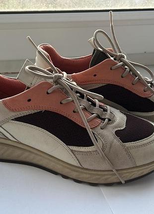 Кросівки ecco