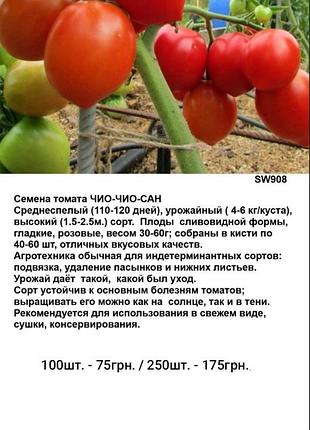 Семена томата  чио чио сан