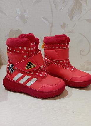 Сноубутси adidas 2