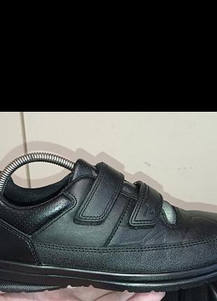 Брендові шкіряні  кросівки clarks.
