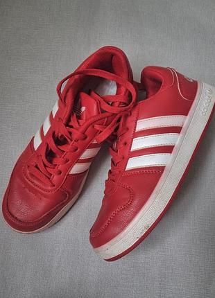 Кроссовки унисекс, adidas, 36р, 22,5 см стелька