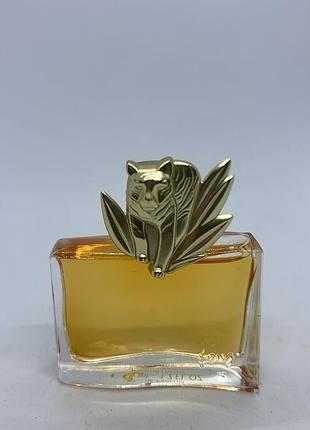 Kenzo jungle tiger
