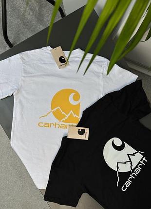 Футболка carhartt skies