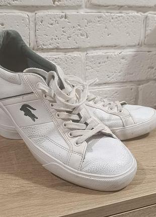 Lacoste шкіряні кеди