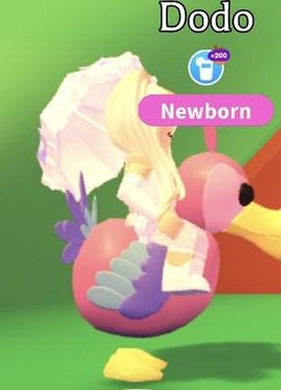 Додо з гри роблокс адопт мі dodo roblox adopt me легендарний пет рідкісний райд