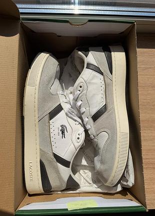 Кросівки lacoste