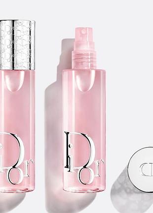 Фіксуючий міст dior