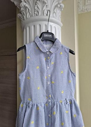Плаття, сукня jasper conran 2