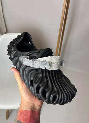 Crocs pollex 2