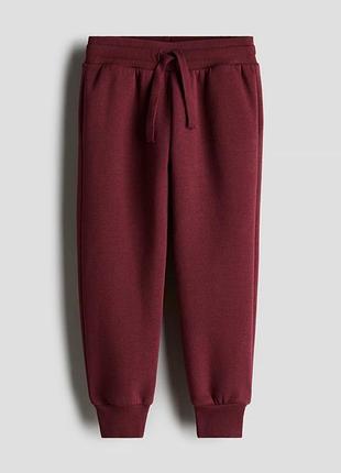 Теплі штани з трикотажу на флісі h&m для хлопчика