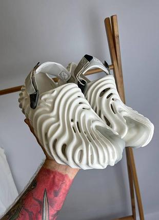 Crocs pollex 2