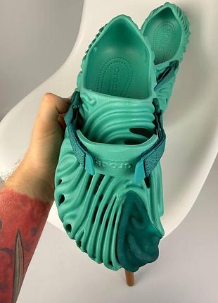 Crocs pollex 4