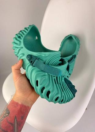 Crocs pollex 2