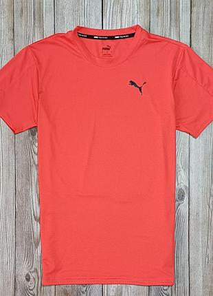 Футболка puma dry cell training big logo