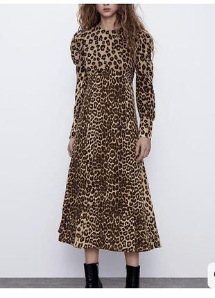 Сукня zara
