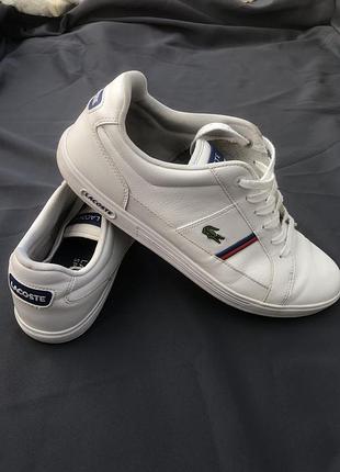 Шкіряні кеди lacoste 44p