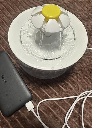 Фонтан для води коту