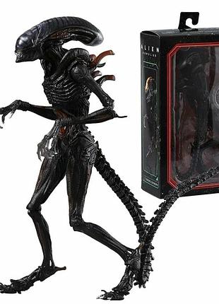 Фигурка alien romulus scorched xenomorph 25 см — коллекционная игрушка-монстр чужой ромул в подарочной упаковке