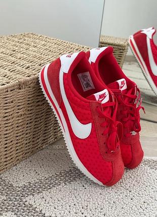 N  cortez❤️