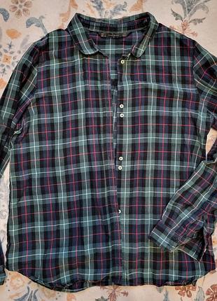 Рубашка zara, хлопковая, мягкая. размер l, но маломерит, на м.