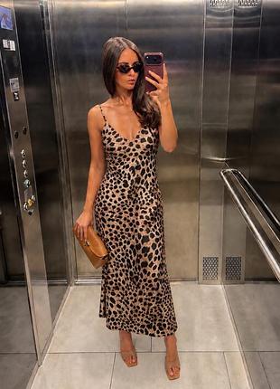 Сукня zara xs лео принт