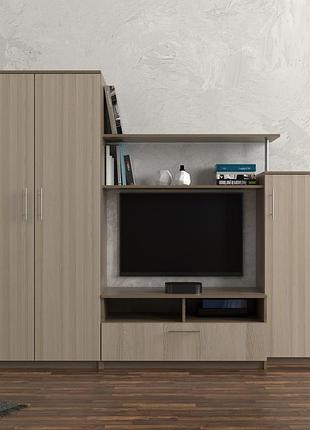 Вітальня flashnika №59 (дсп) (2200мм x 450мм x 1800мм)