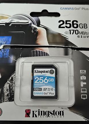 Kingston canvas go! plus 256gb карта памяти sd скоростная sdg3