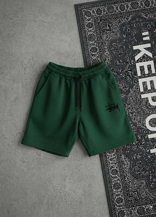 Чоловічі шорти stussy