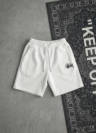 Чоловічі шорти stussy