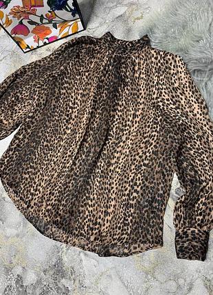 Леопардова блузка  h&m