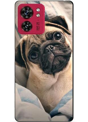 Силіконовий чохол бампер для motorola edge 40 з малюнком фото мопс