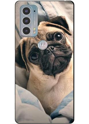 Силіконовий чохол бампер для motorola edge 20 з малюнком фото мопс